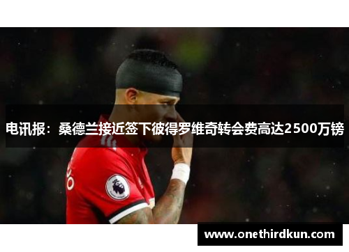 电讯报：桑德兰接近签下彼得罗维奇转会费高达2500万镑