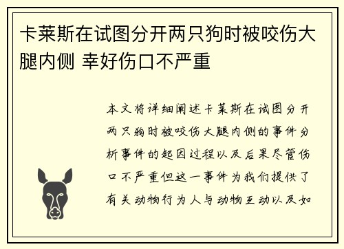 卡莱斯在试图分开两只狗时被咬伤大腿内侧 幸好伤口不严重