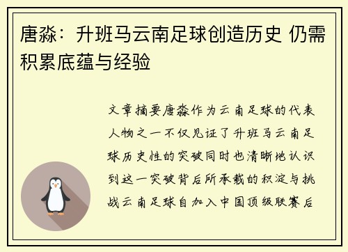 唐淼：升班马云南足球创造历史 仍需积累底蕴与经验